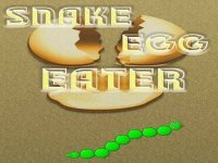 Egg Path Puzzle Challenge