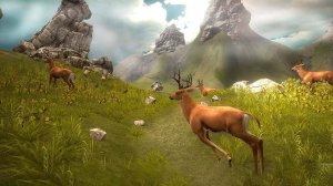 Forest Watch: Precision Arcade