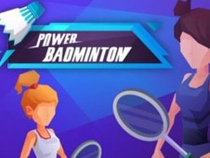 Pro Badminton Arcade Sports