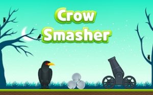 Pebble Aim: Bird Puzzle Challenge