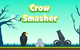 Pebble Aim: Bird Puzzle Challenge