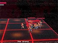 Lady Champion Action Game