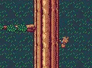 Acorn Ascent: Vertical Runner